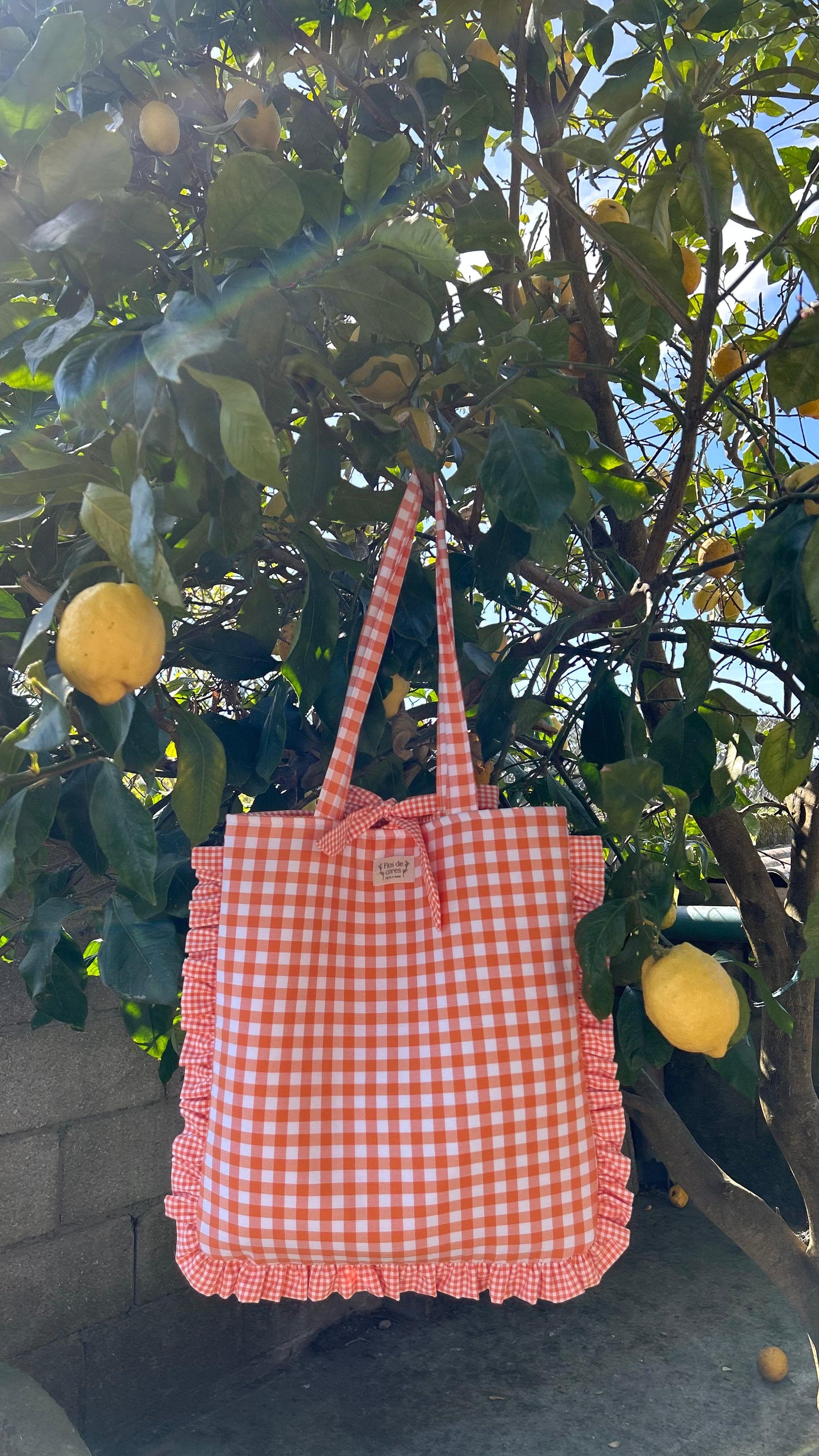 Bolsa Niñóns