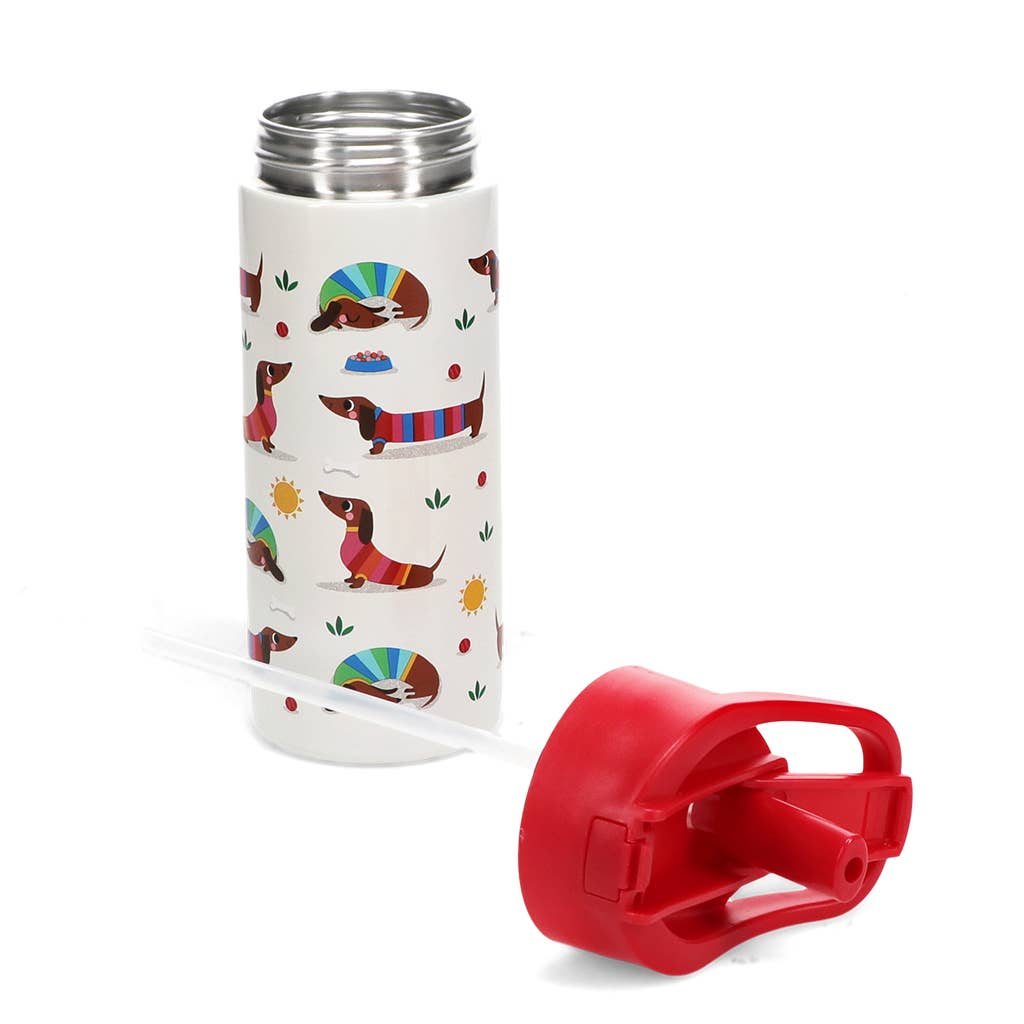 Botella 500ml