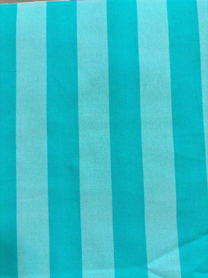 Bolso Ínsua
