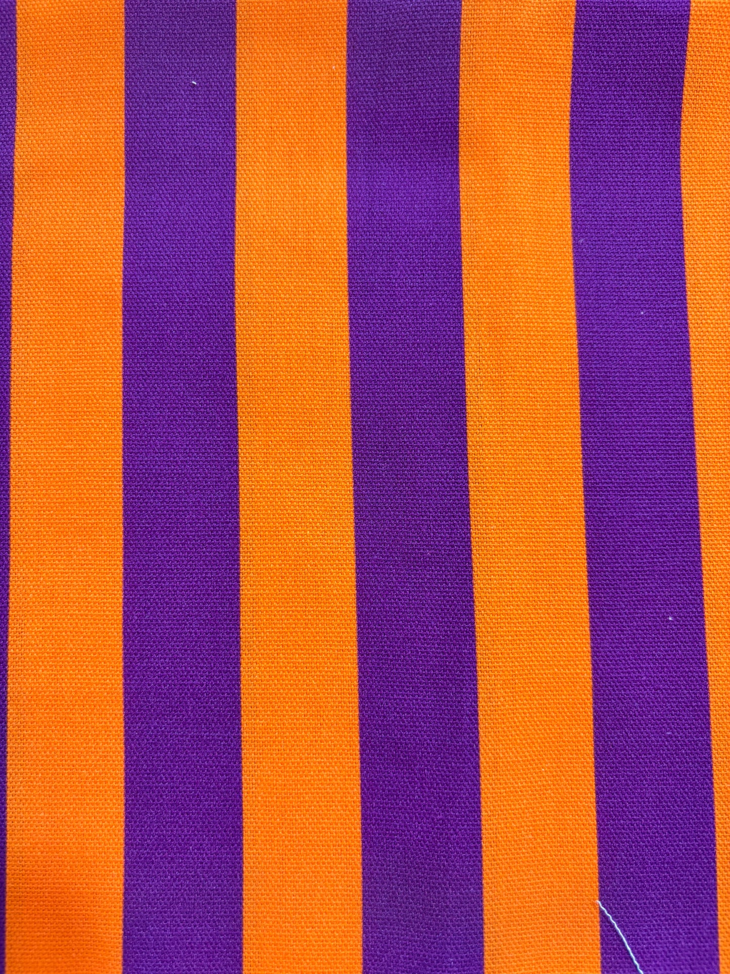 Bolso Ínsua