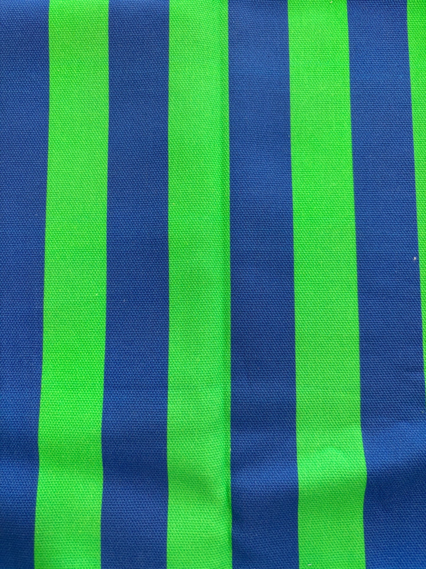 Bolso Ínsua