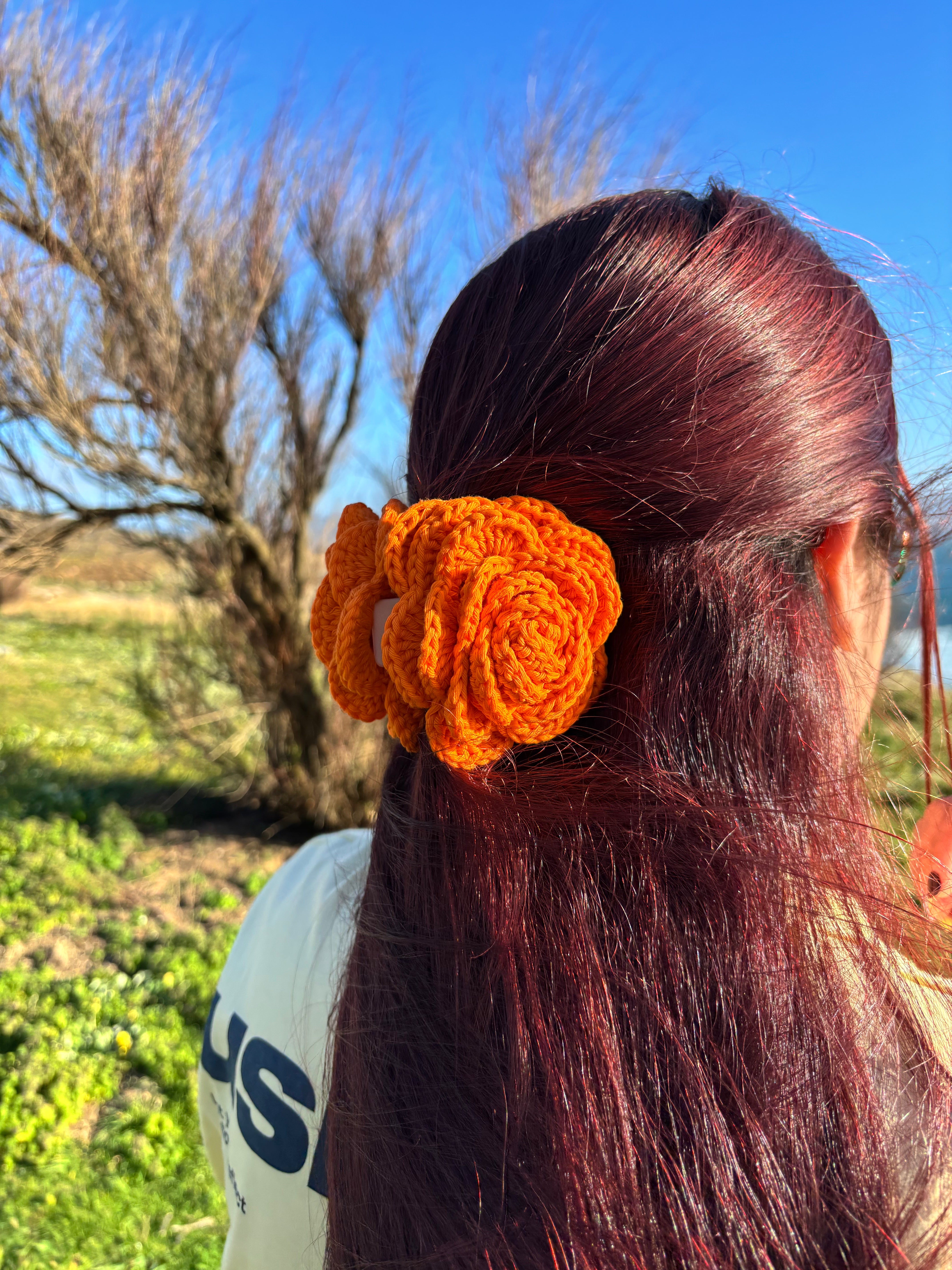 Pinza rosas