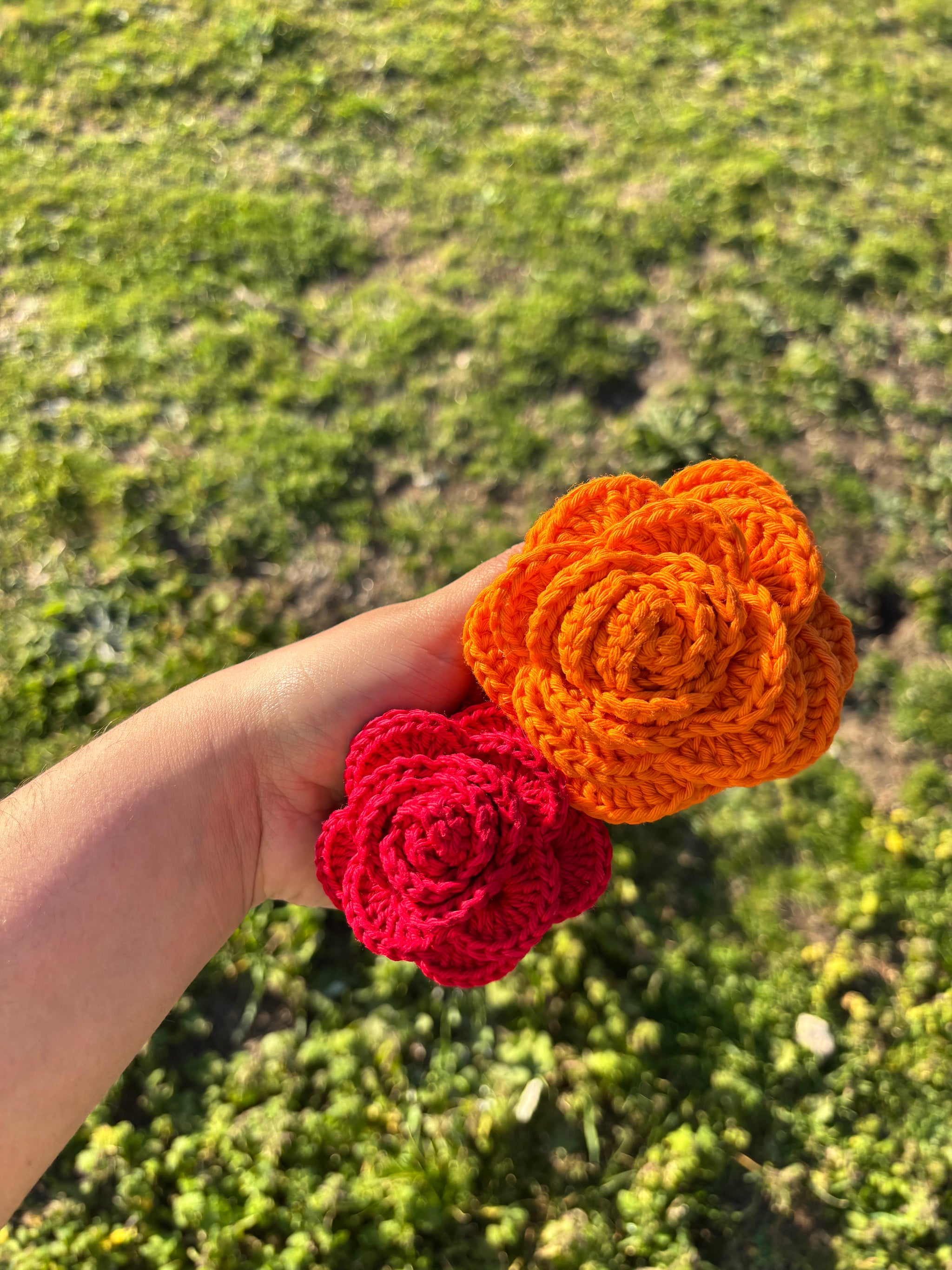 Pinza rosas